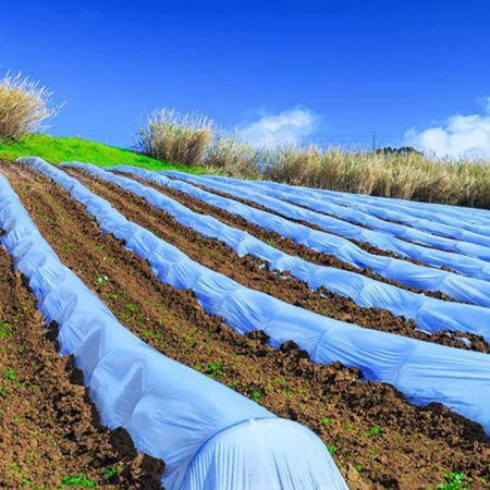 نایلون کشاورزی